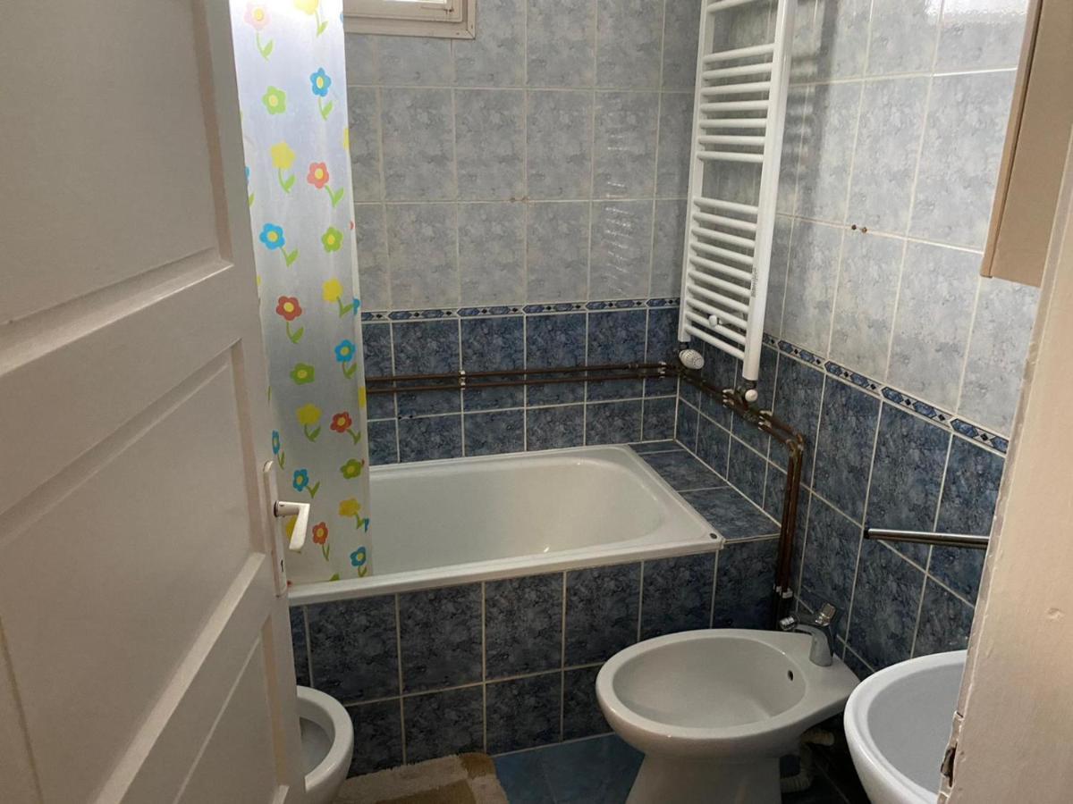 Camere De Inchiriat Floarea Reginei Vişeu de Sus Exteriör bild