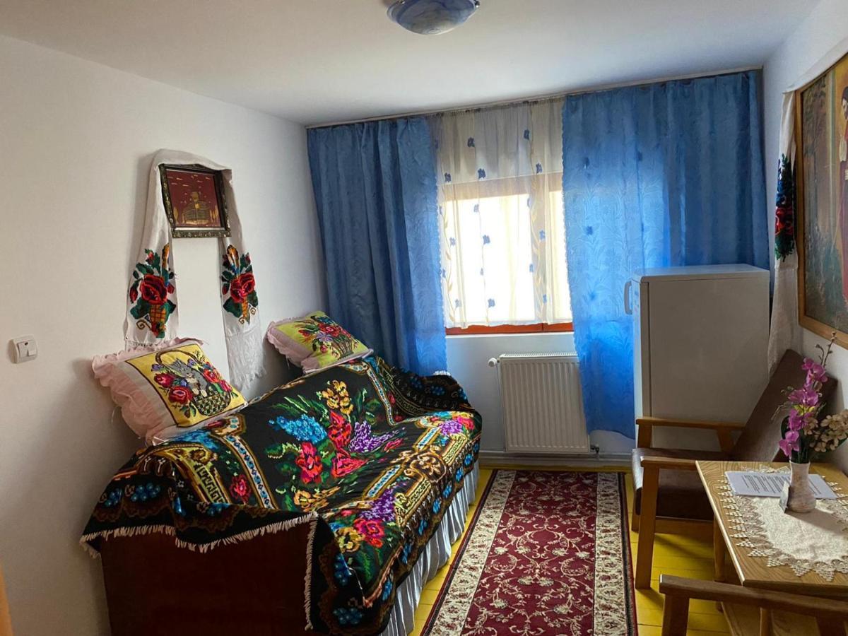 Camere De Inchiriat Floarea Reginei Vişeu de Sus Exteriör bild