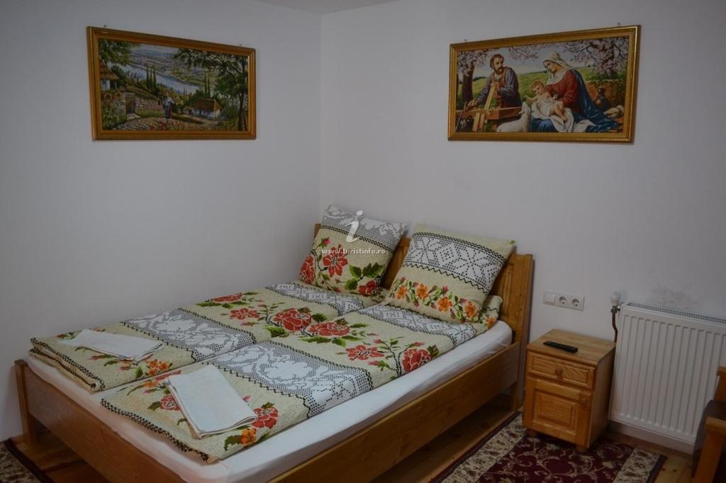 Camere De Inchiriat Floarea Reginei Vişeu de Sus Exteriör bild